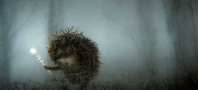 Противотуманные фары