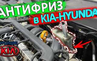 Как долить антифриз в Киа Рио и Хёндай Солярис