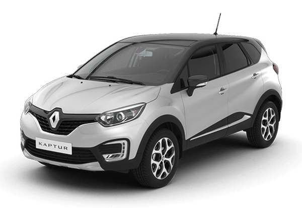 Двухцветный