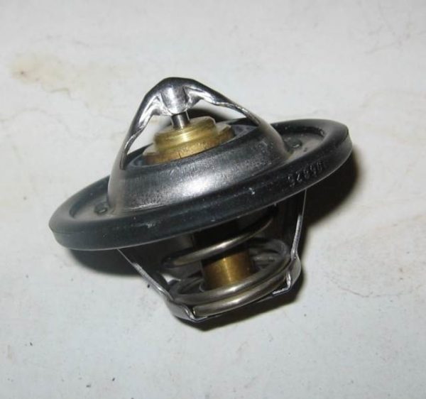 Termostat Duster