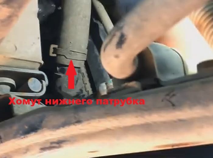 нижний патрубок радиатора
