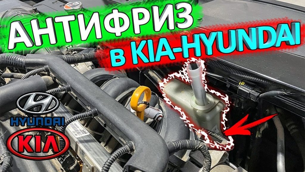 антифриз в киа и хендай